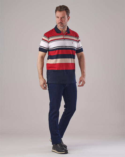 Multi-Stripe Polo T-shirt - Navy Collar